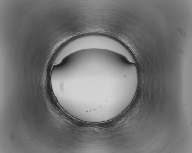 X0000110320583200906111454