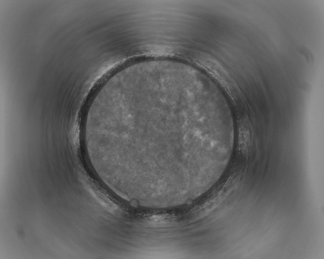 X0000110320584200906111454