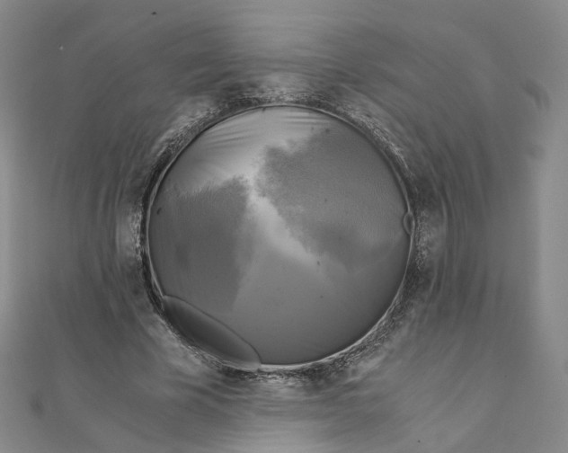 X0000110320585200906111454