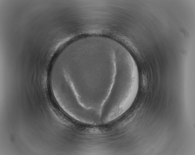 X0000110320588200906111454