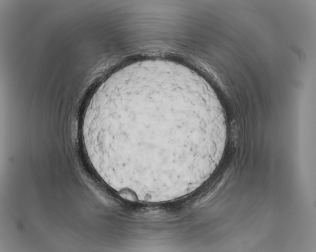 X0000110320589200906111454