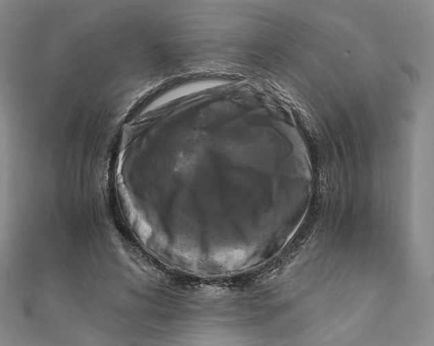 X0000110320592200906111454