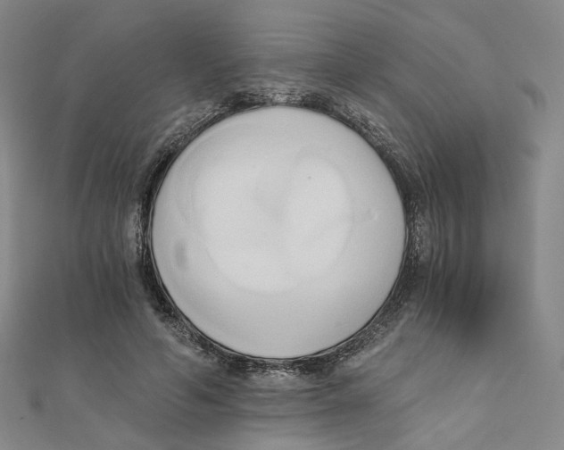 X0000110320594200906111454