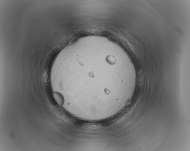 X0000110320597200906111454