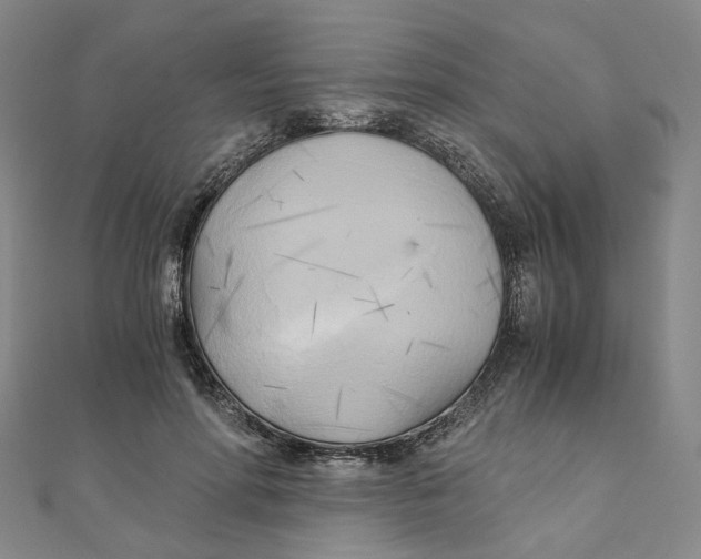 X0000110320598200906111454