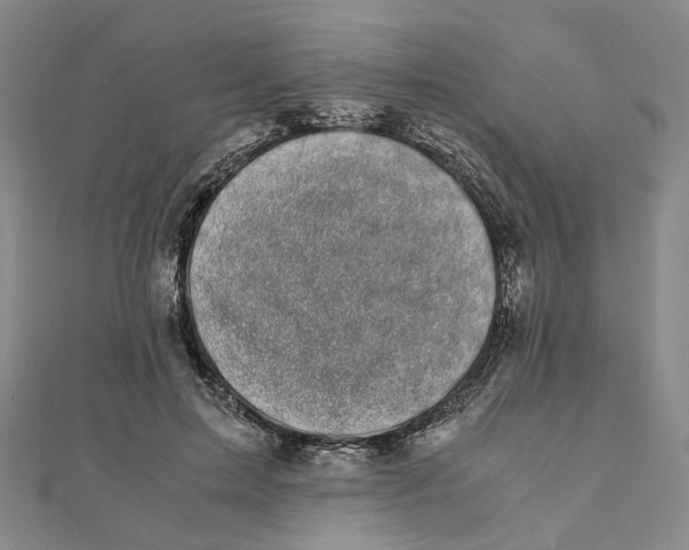 X0000110320599200906111454