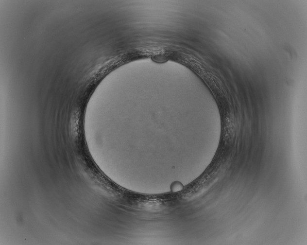 X0000110320600200906111454