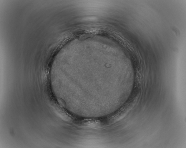 X0000110320601200906111454