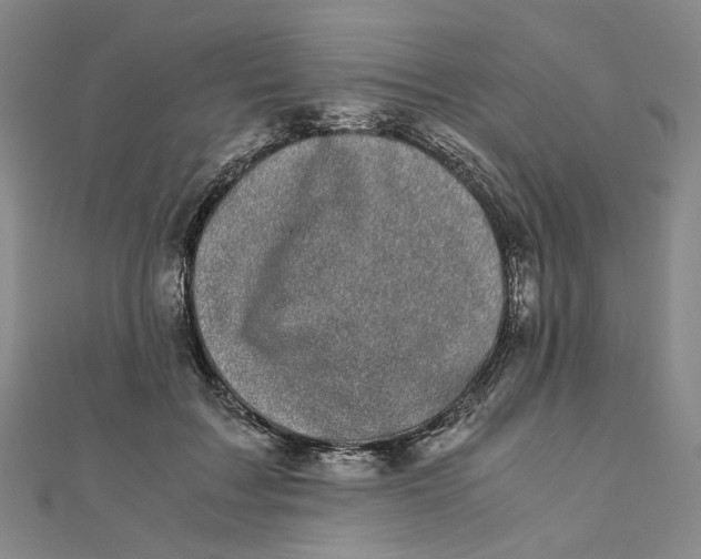 X0000110320603200906111454