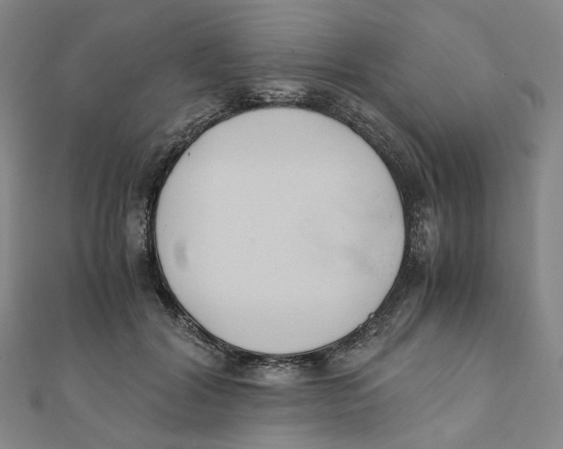 X0000110320604200906111454