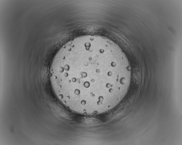 X0000110320605200906111454