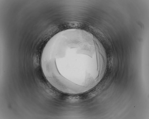 X0000110320606200906111454