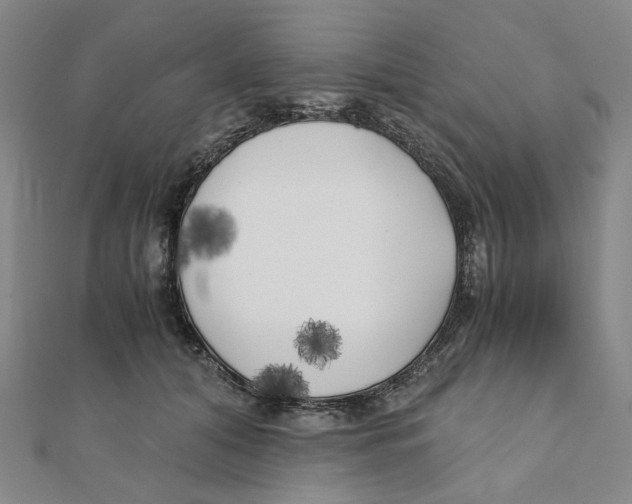 X0000110320608200906111454