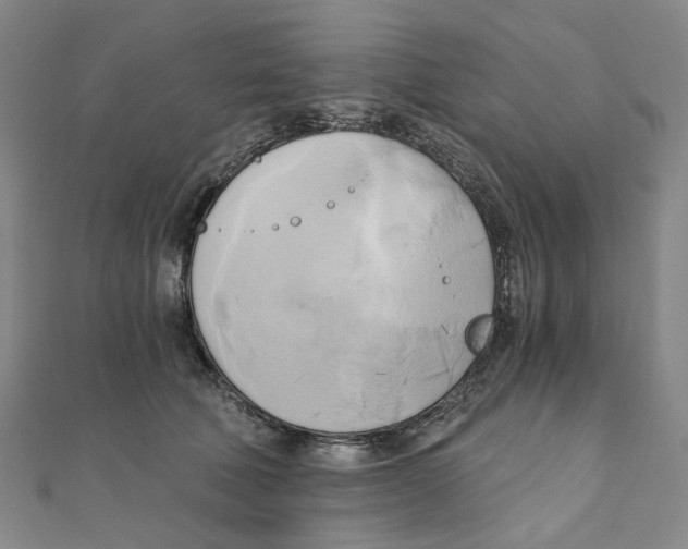 X0000110320610200906111454