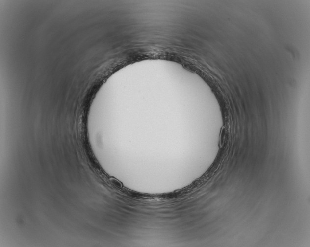 X0000110320611200906111454