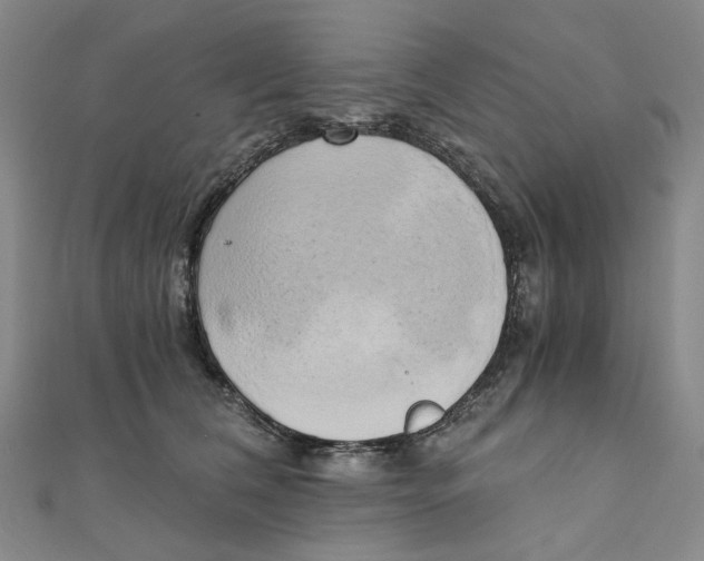 X0000110320612200906111454