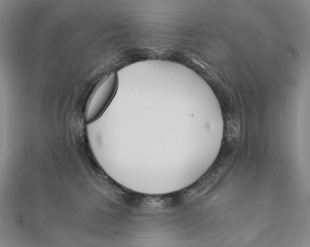 X0000110320613200906111454