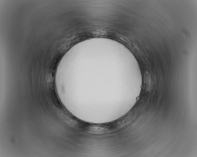 X0000110320614200906111454