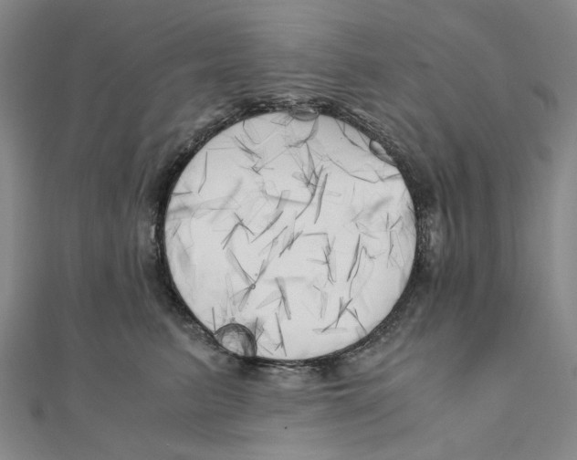 X0000110320615200906111454