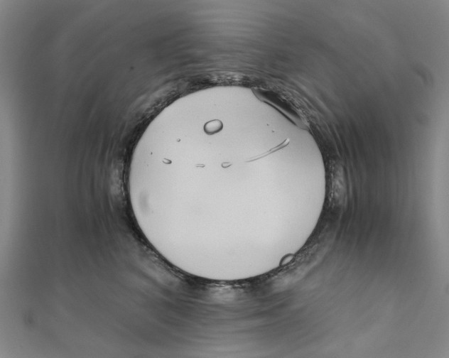 X0000110320616200906111454