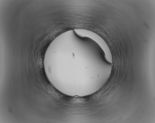 X0000110320617200906111454