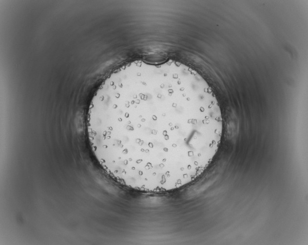 X0000110320620200906111454