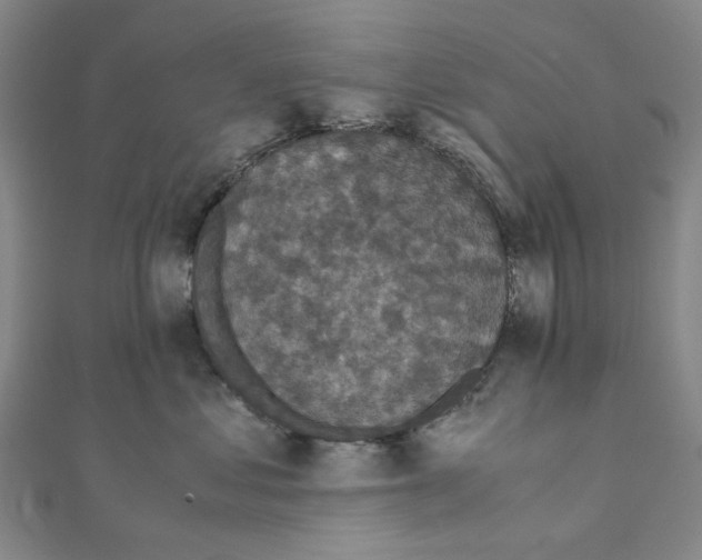 X0000110320621200906111454