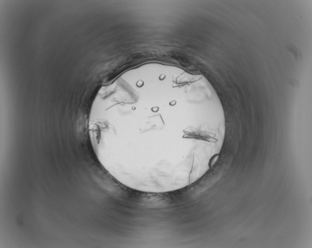 X0000110320624200906111454