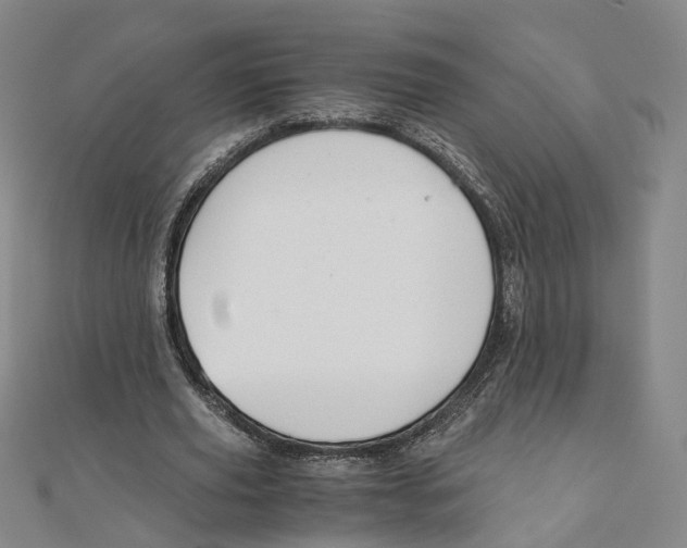 X0000110320629200906111453