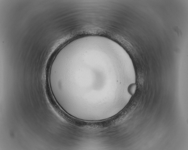 X0000110320630200906111453