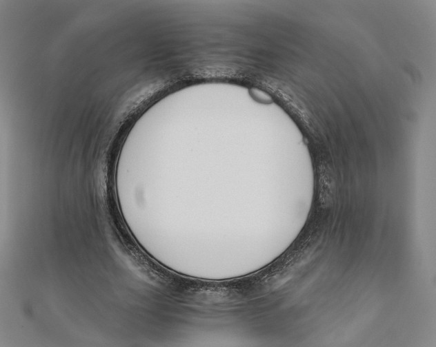 X0000110320631200906111453