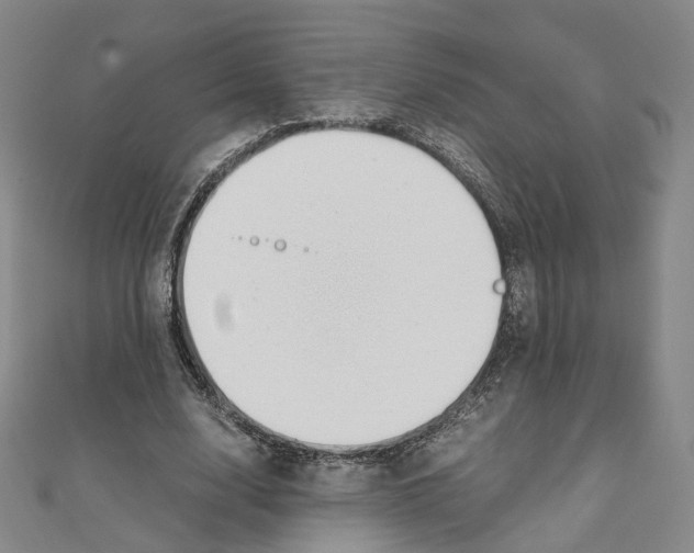 X0000110320632200906111453