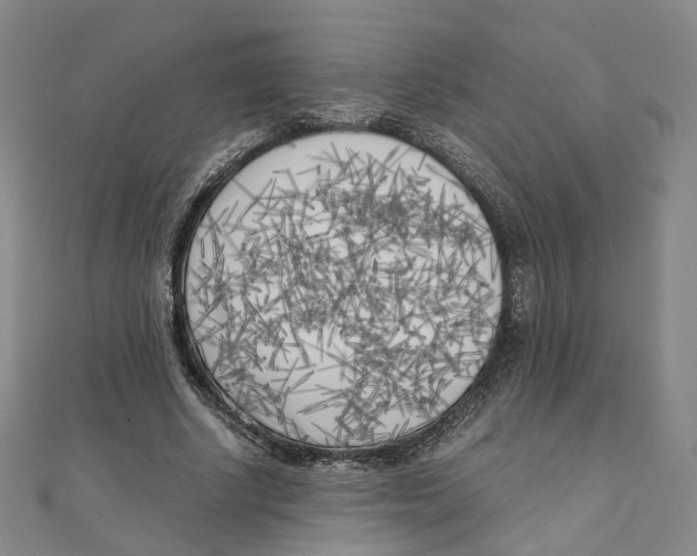 X0000110320634200906111453