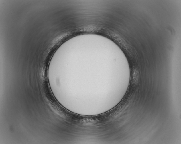 X0000110320636200906111453