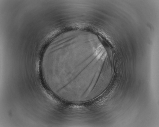 X0000110320637200906111453