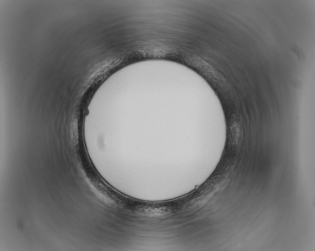 X0000110320638200906111453