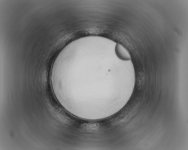 X0000110320639200906111453