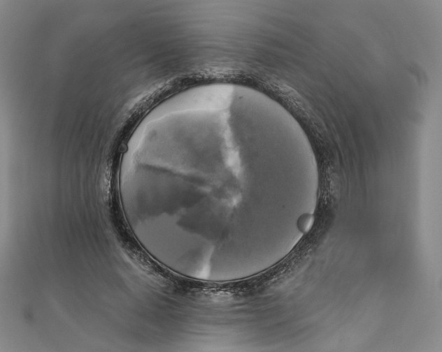 X0000110320640200906111453