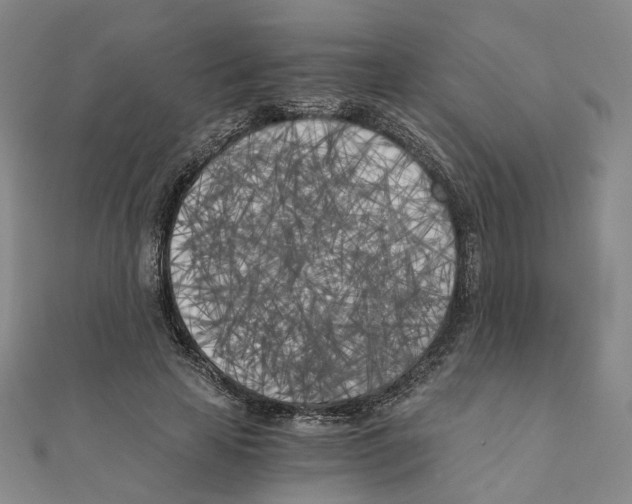 X0000110320641200906111453