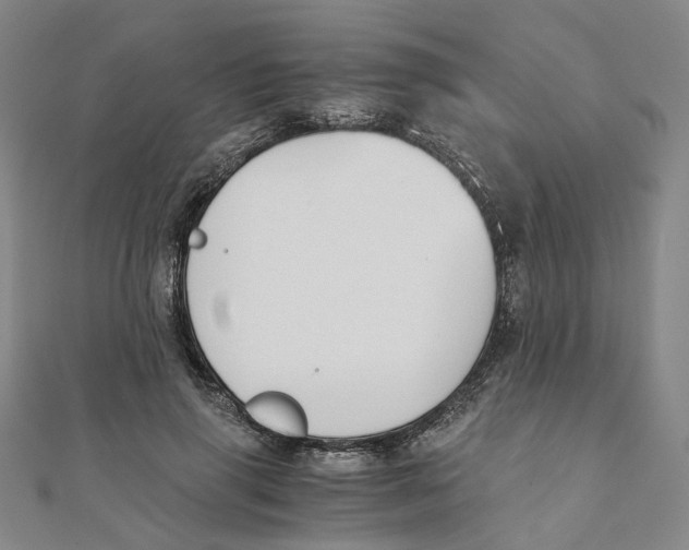 X0000110320645200906111453