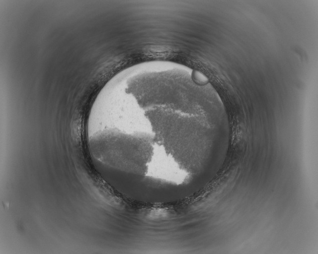 X0000110320647200906111454