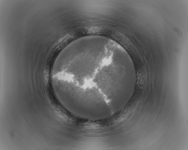 X0000110320648200906111454