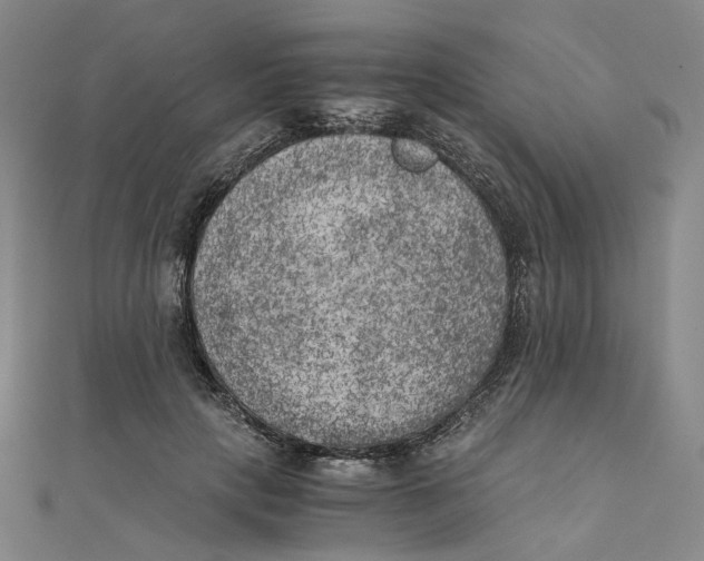 X0000110320649200906111454