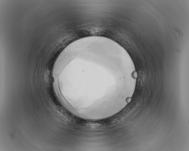 X0000110320650200906111454