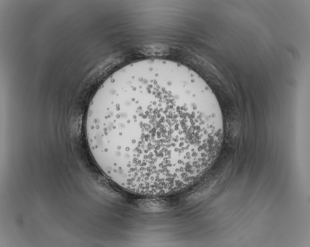 X0000110320652200906111454