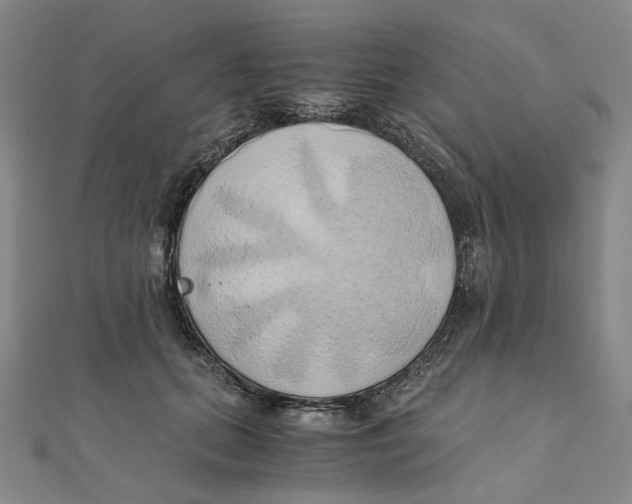 X0000110320655200906111454