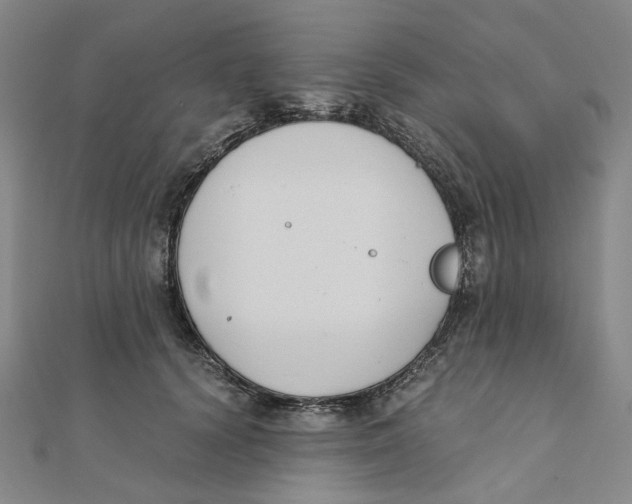 X0000110320656200906111454