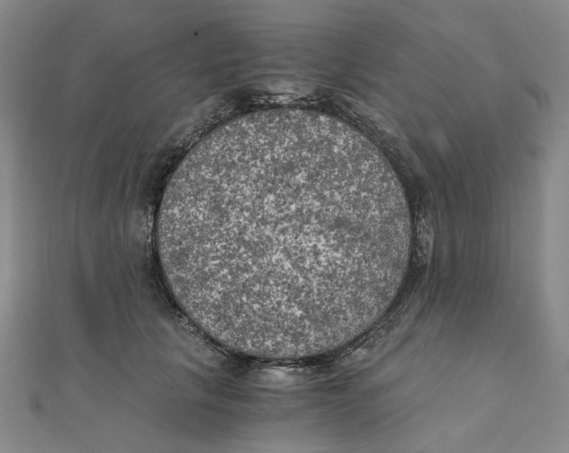 X0000110320657200906111454