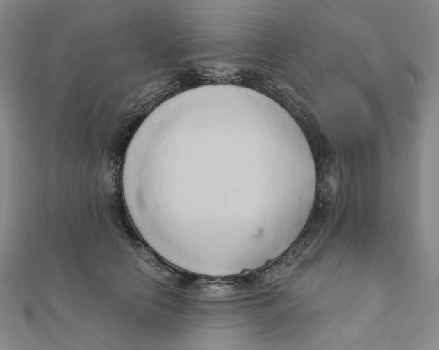 X0000110320658200906111454