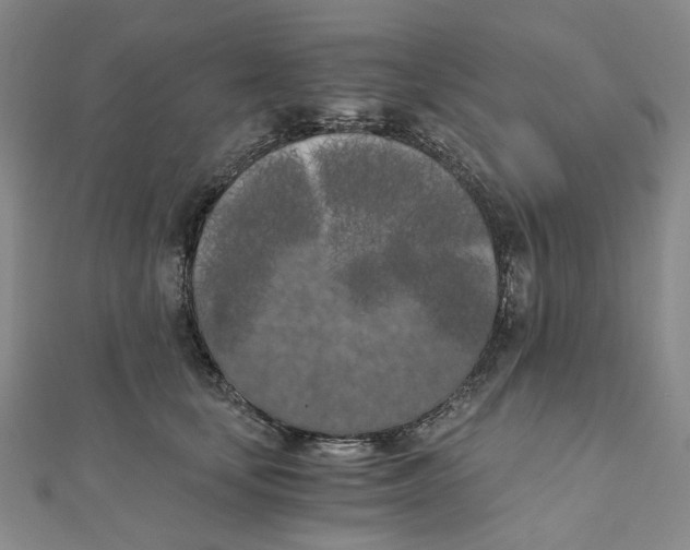 X0000110320659200906111454